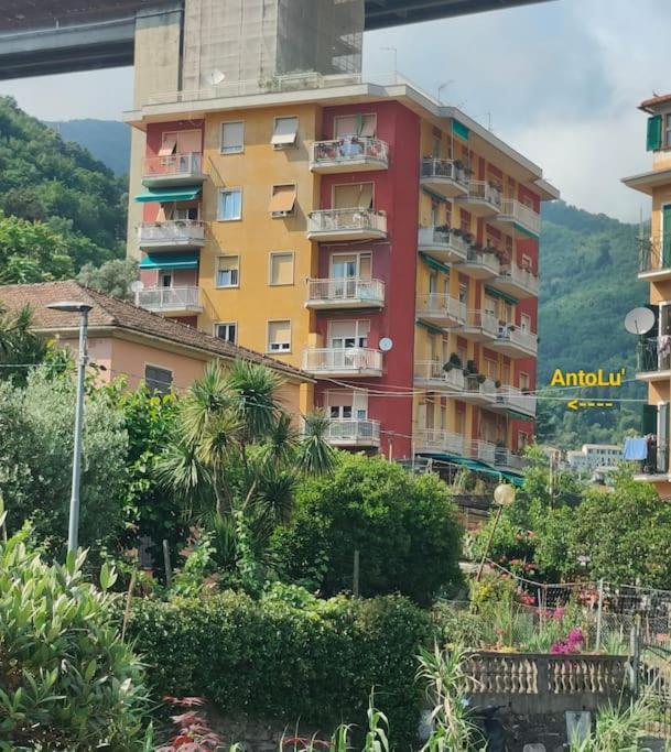 Casa Antolu Διαμέρισμα Ραπάλο Εξωτερικό φωτογραφία